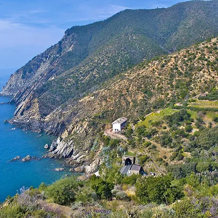 Amazing In With Wifi Camogli